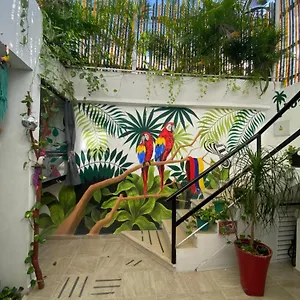 https://private-cozy-room-tv-wifi-ac-puerto-morelos.allrivieramayahotels.com